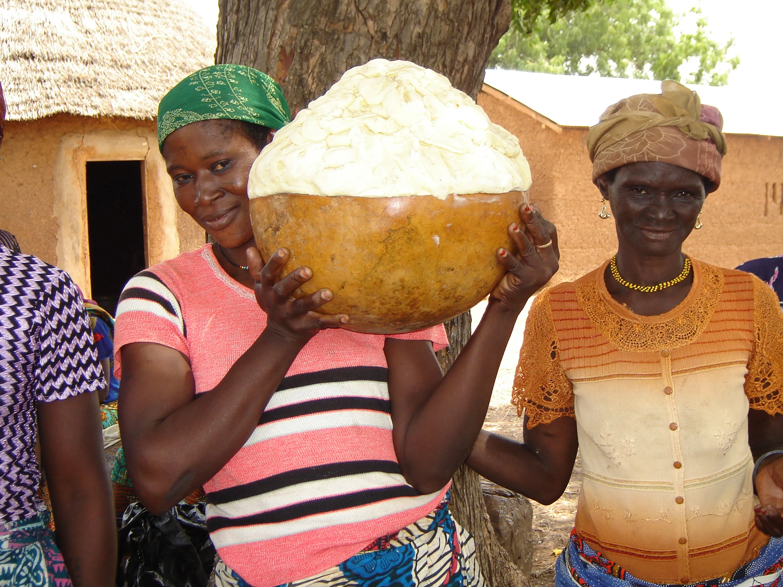 Two smiling women in a rural Ghanaian village holding a large calabash gourd piled high with freshly harvested white shea butter.