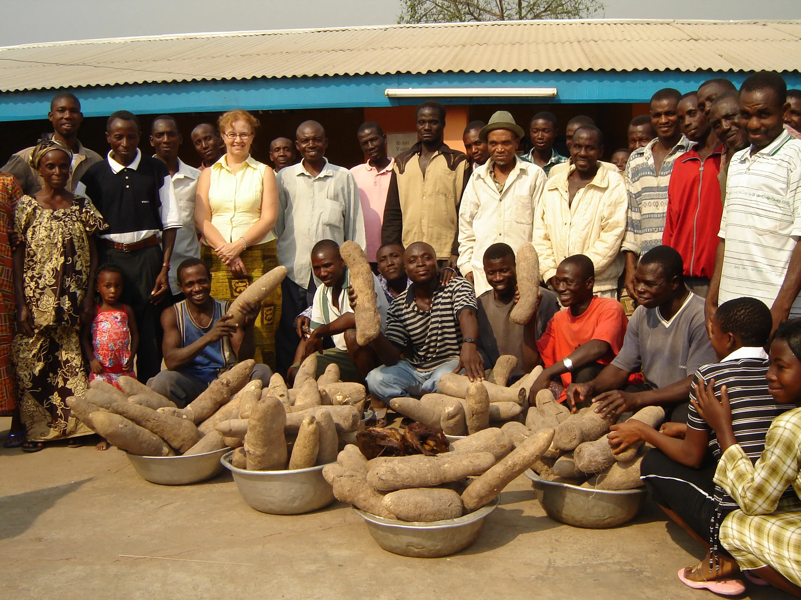 A large group of farmers and community members pose behind multiple metal bowls filled with freshly harvested yams.